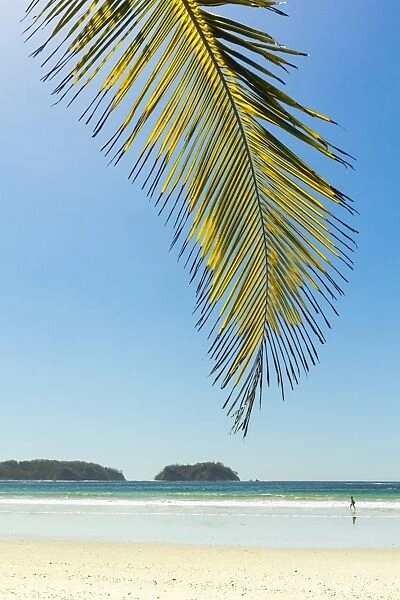The white sand palm-fringed beach at this laid-back village & resort;Samara, Guanacaste Province, Nicoya Peninsula, Costa Rica, Central America