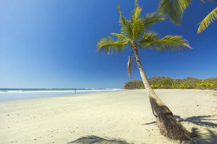 Framed Print : The white sand palm-fringed beach at this laid-back village and resort, Samara, Nicoya Peninsula, Guanacaste Province, Costa Rica, Central America