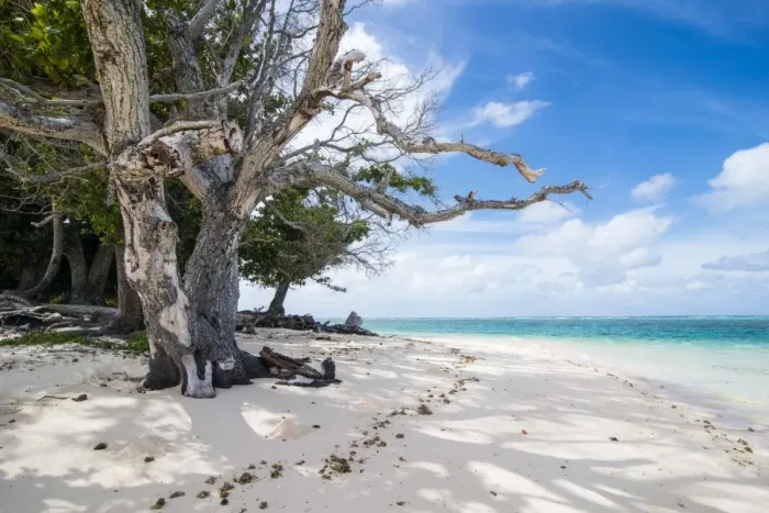 Framed Print : White sand and turquoise water at Laura (Lowrah) beach, Majuro atoll, Majuro, Marshall Islands Framed Print : White sand and turquoise water at Laura (Lowrah) beach, Majuro atoll, Majuro, Marshall Islands