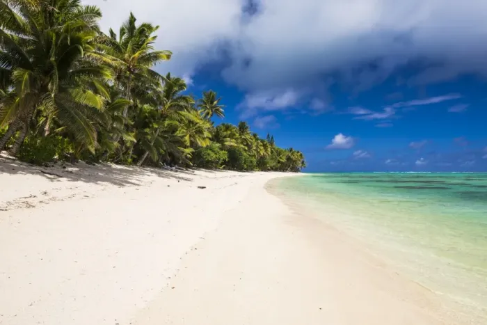 Framed Print : White sandy beach and palm trees on tropical Rarotonga Island, Cook Islands, South Pacific Framed Print : White sandy beach and palm trees on tropical Rarotonga Island, Cook Islands, South Pacific