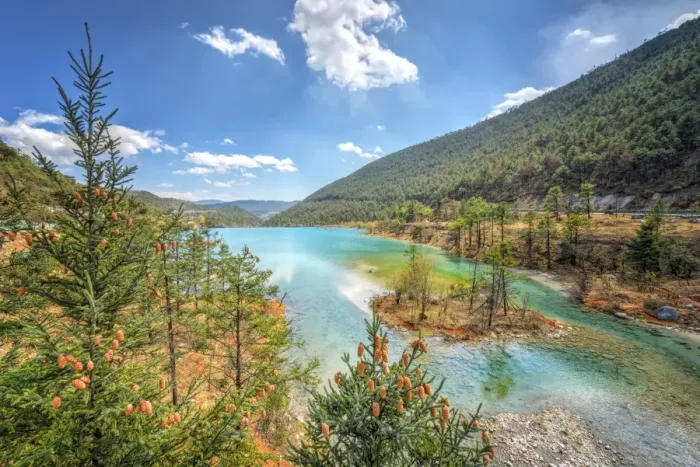 Framed Print : White Water River and pine trees, 25km north of Lijiang. Yunnan, China, Asia Framed Print : White Water River and pine trees, 25km north of Lijiang. Yunnan, China, Asia