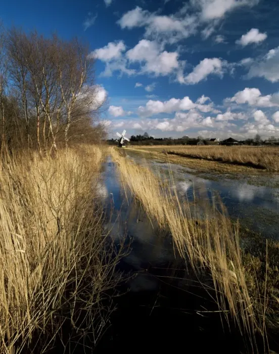 Framed Print : Wicken Fen, Cambridgeshire, England, United Kingdom, Europe Framed Print : Wicken Fen, Cambridgeshire, England, United Kingdom, Europe