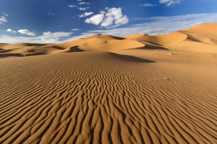 Framed Print : Wide angle view of the ripples and dunes of the Erg Chebbi Sand sea, part of Framed Print : Wide angle view of the ripples and dunes of the Erg Chebbi Sand sea, part of
