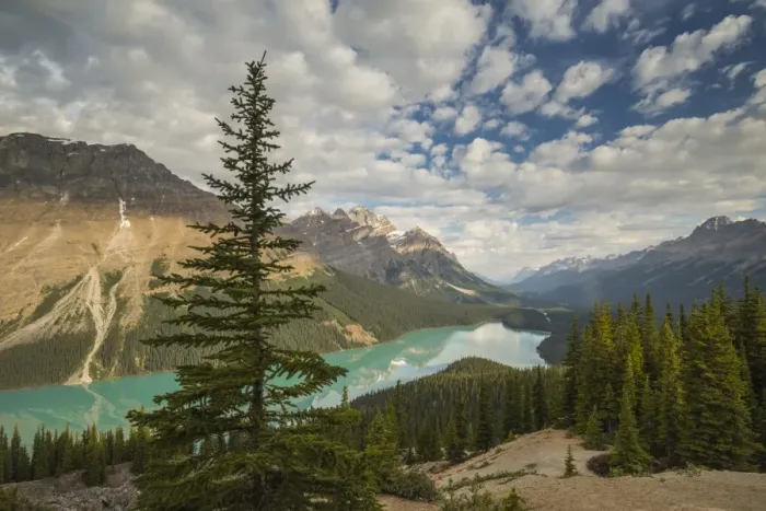Framed Print : Wide view of Peyto Lake, Banff National Park, UNESCO World Heritage Site, Alberta Framed Print : Wide view of Peyto Lake, Banff National Park, UNESCO World Heritage Site, Alberta