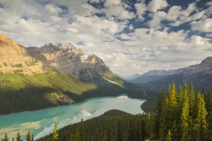 Framed Print : Wide view of Peyto Lake, Banff National Park, UNESCO World Heritage Site, Alberta Framed Print : Wide view of Peyto Lake, Banff National Park, UNESCO World Heritage Site, Alberta