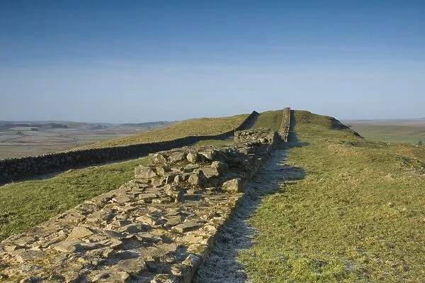The width of the wall clearly seen looking west at Cawfields, Hadrians Wall, UNESCO World Heritage Site, Northumberland National Park, Northumbria, England, United Kingdom, Europe
