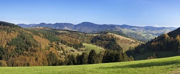 Wiesental Valley, Black Forest, Baden Wurttemberg, Germany, Europe