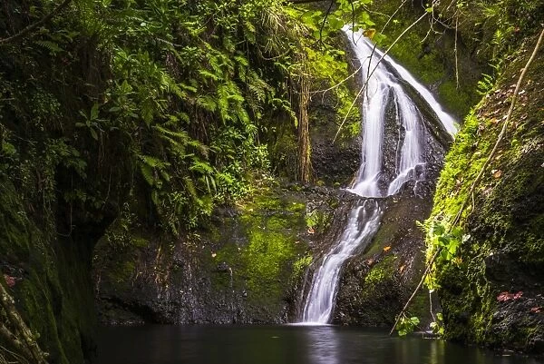 Wigmores Waterfall, Rarotonga, Cook Islands, South Pacific, Pacific