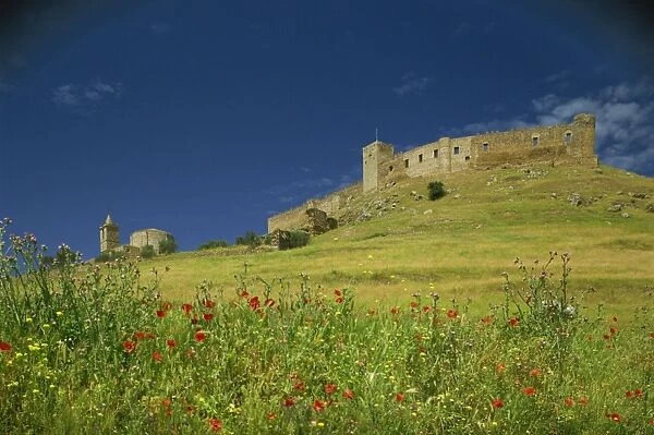 Wild flowers in front of the Castle of Medallin in Extremadura