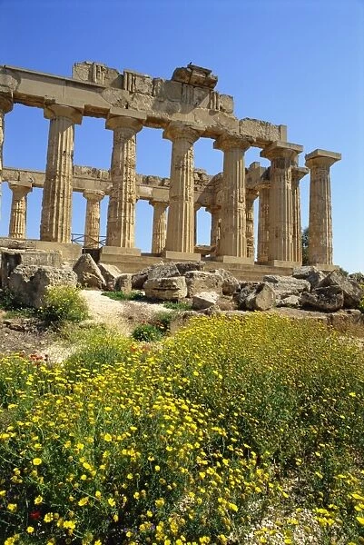 Wild flowers and the ruins of the Greek temples at