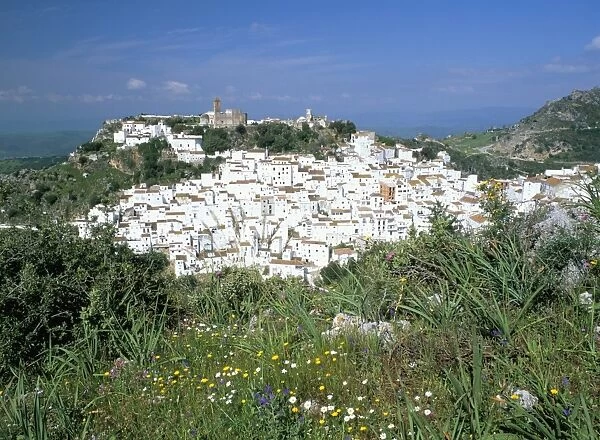 Wild flowers and white village with Moorish castle