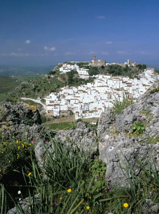 Framed Print : Wild flowers and white village with Moorish castle Framed Print : Wild flowers and white village with Moorish castle