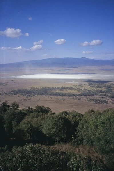 Wildlife, mossy trees, clouds and salt lake, Ngorongoro Crater, Ngorongoro Conservation Area