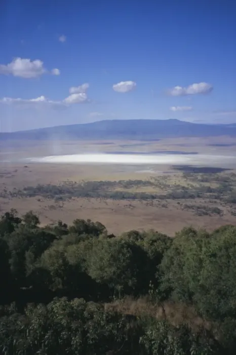Framed Print : Wildlife, mossy trees, clouds and salt lake, Ngorongoro Crater, Ngorongoro Conservation Area Framed Print : Wildlife, mossy trees, clouds and salt lake, Ngorongoro Crater, Ngorongoro Conservation Area