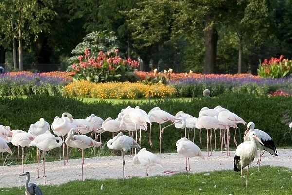 Wilhelma Zoo and Botanical Gardens