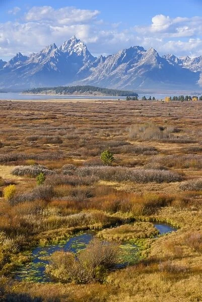 Willow Flats and Teton Range, Grand Tetons National Park, Wyoming, United States of America