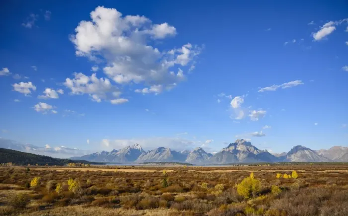 Framed Print : Willow Flats and Teton Range, Grand Tetons National Park, Wyoming, United States of America Framed Print : Willow Flats and Teton Range, Grand Tetons National Park, Wyoming, United States of America