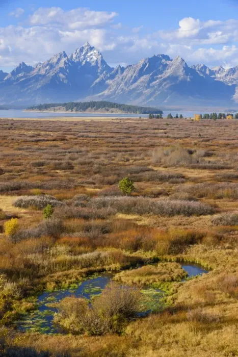 Framed Print : Willow Flats and Teton Range, Grand Tetons National Park, Wyoming, United States of America Framed Print : Willow Flats and Teton Range, Grand Tetons National Park, Wyoming, United States of America