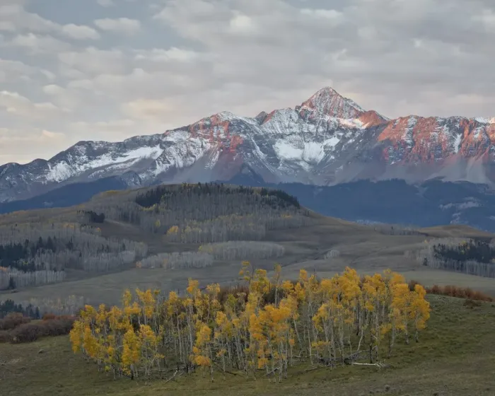 Framed Print : Wilson Peak with a dusting of snow in the fall, San Juan National Forest, Colorado, United States of America, North America Framed Print : Wilson Peak with a dusting of snow in the fall, San Juan National Forest, Colorado, United States of America, North America