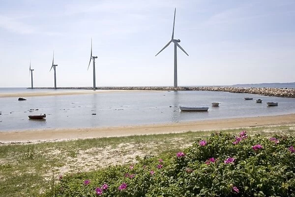Wind farm, Ebeltoft, Denmark, Scandinavia, Europe
