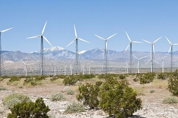 Wind farm outside Palm Springs, California, United States of America, North America