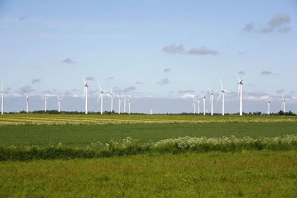 Wind turbines in South Jutland, Denmark, Scandinavia, Europe