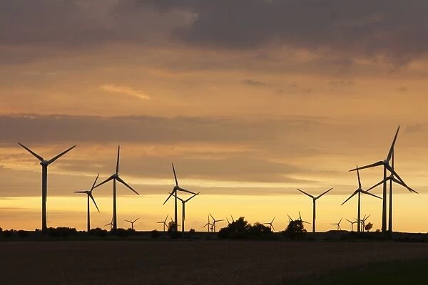 Wind turbines at sunset, Fehmarn, Baltic Sea, Schleswig Holstein, Germany, Europe