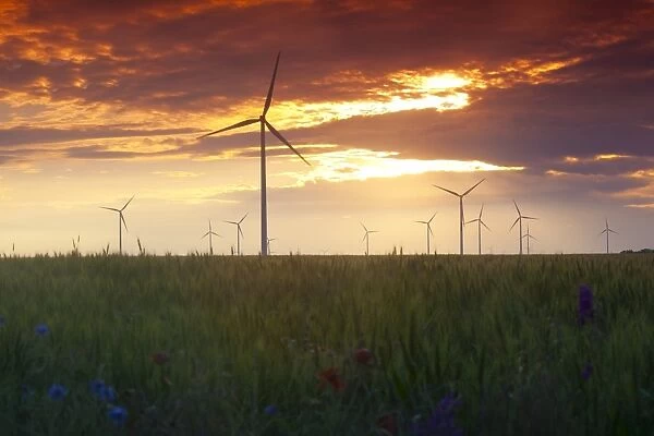 Wind turbines at sunset, Kavarna Wind Farm, Kavarna, Bulgaria, Europe
