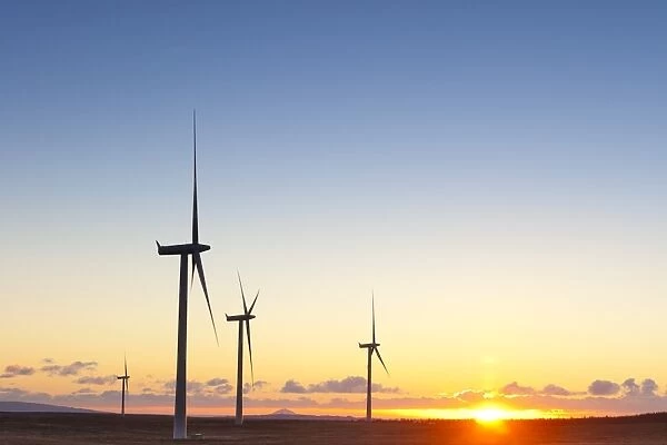 Wind turbines at sunset, Whitelee Wind Farm, Scotland, United Kingdom, Europe
