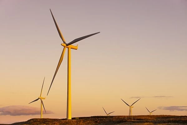 Wind turbines at sunset, Whitelee Wind Farm, East Renfrewshire, Scotland, United Kingdom