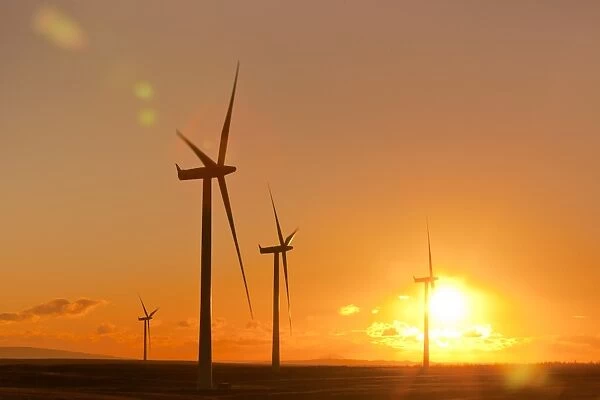Wind turbines at sunset, Whitelee Wind Farm, East Renfrewshire, Scotland, United Kingdom