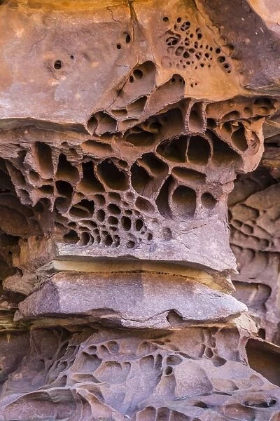 Detail of wind and water erosion in the sandstone cliffs of the King George River, Koolama Bay, Kimberley, Western Australia, Australia, Pacific
