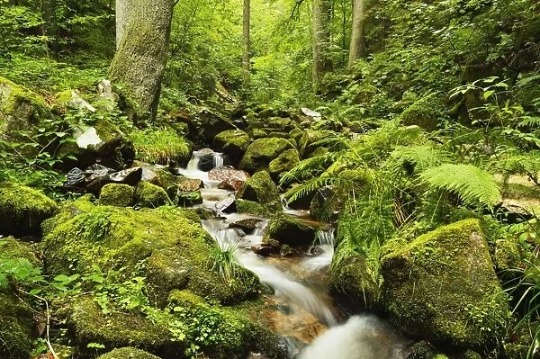 Windberg waterfall, near St. Blasien, Black Forest, Baden-Wurttemberg, Germany, Europe