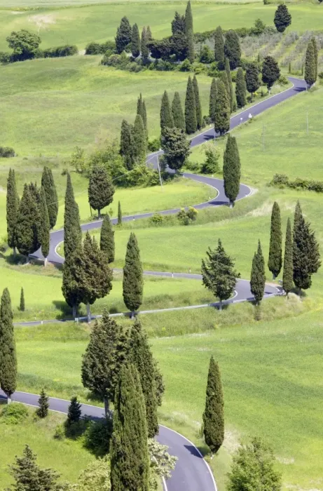 Framed Print : Winding country road flanked by cypress trees, near the town of Montechiello Framed Print : Winding country road flanked by cypress trees, near the town of Montechiello