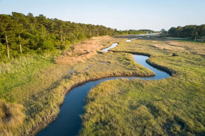 Framed Print : Winding creek through Chesapeake Bay salt water marsh near Hampton, Virginia Framed Print : Winding creek through Chesapeake Bay salt water marsh near Hampton, Virginia