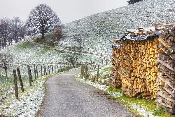 Winding road and wood pile near St. Trudpert Monastery, Munstertal, Black Forest, Baden-Wurttemberg, Germany, Europe