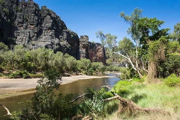 Windjana Gorge, The Kimberleys, Western Australia, Australia, Pacific
