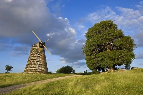 Windmill at Bettys Hope Historic Sugar Plantation, Antigua, Leeward Islands