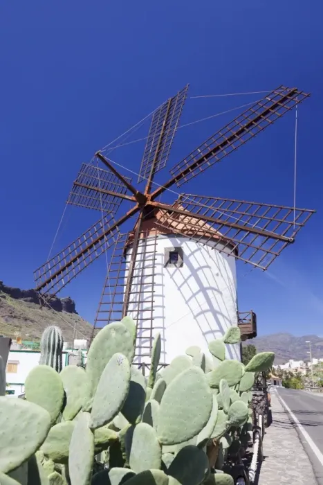 Framed Print : Windmill and cactus, Mogan, Gran Canaria, Canary Islands, Spain, Europe Framed Print : Windmill and cactus, Mogan, Gran Canaria, Canary Islands, Spain, Europe