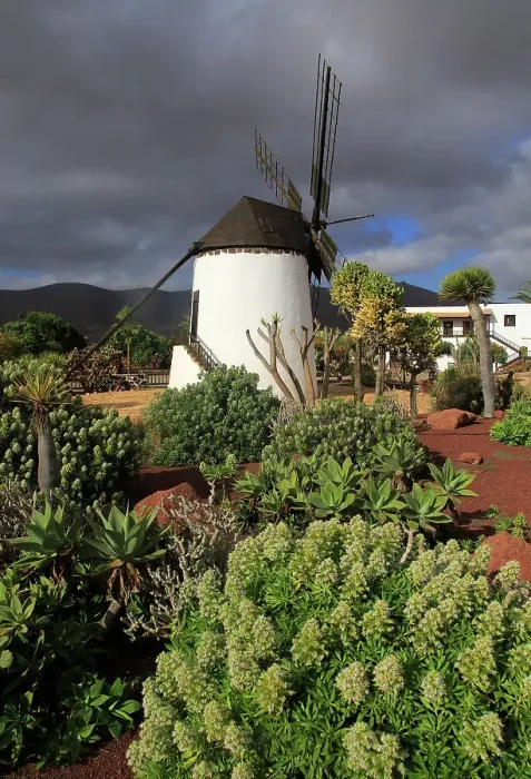 Framed Print : Windmill and garden at Centro de Artesania Molinos de Antigua, Fuerteventura, Canary Islands, Spain, Atlantic, Europe Framed Print : Windmill and garden at Centro de Artesania Molinos de Antigua, Fuerteventura, Canary Islands, Spain, Atlantic, Europe