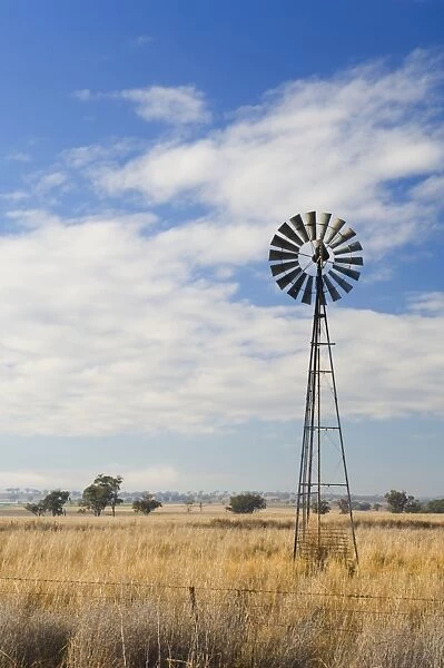 Windmill on pasture, Manilla, New South Wales, Australia, Pacific