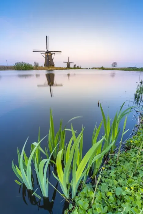 Framed Print : Windmills on the canal and grass in the foreground, Kinderdijk, UNESCO World Heritage Site Framed Print : Windmills on the canal and grass in the foreground, Kinderdijk, UNESCO World Heritage Site