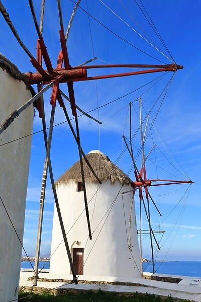 Windmills in a row (Kato Mili), Mykonos Town (Chora), Mykonos, Cyclades, Greek Islands, Greece, Europe