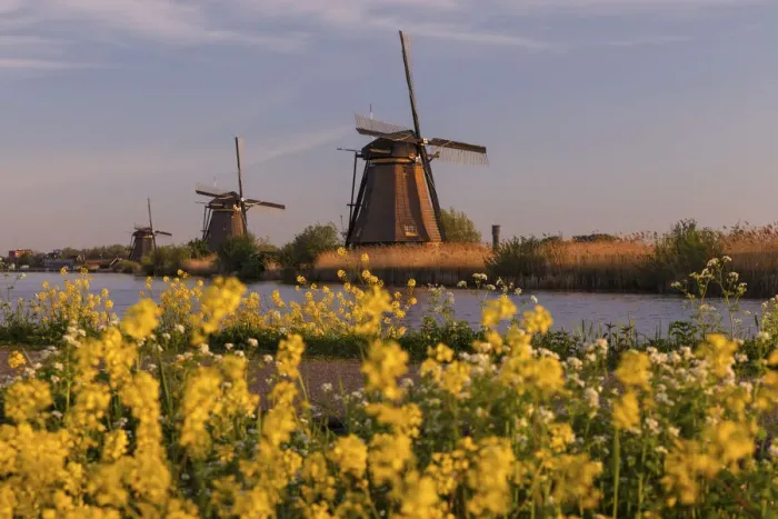 Framed Print : Windmills at sunrise, Kinderdijk, UNESCO World Heritage Site, South Holland, Netherlands Framed Print : Windmills at sunrise, Kinderdijk, UNESCO World Heritage Site, South Holland, Netherlands