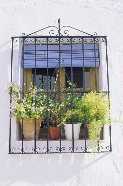 Window and flower pots