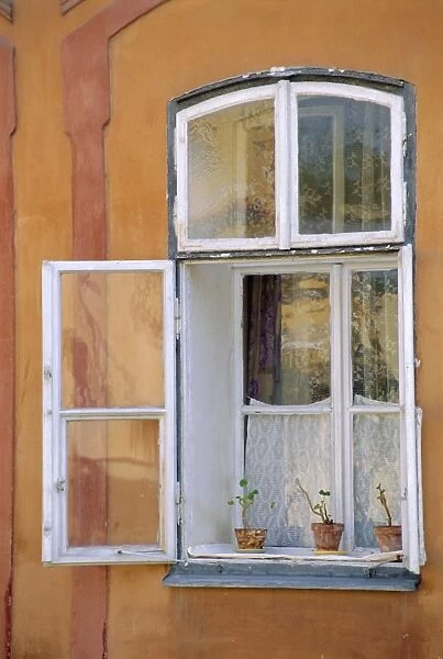 Window and flower pots, Tabor, South Bohemia, Czech Republic, Europe