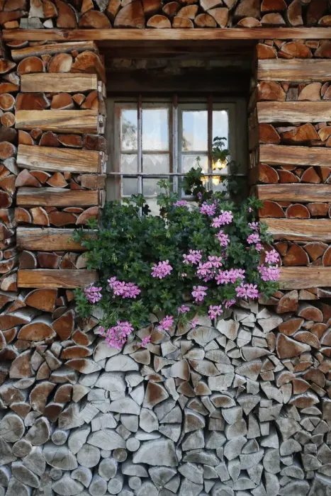 Framed Print : Window with flowers, wooden chalet in the French Alps, Sallanches, Haute-Savoie, France, Europe Framed Print : Window with flowers, wooden chalet in the French Alps, Sallanches, Haute-Savoie, France, Europe