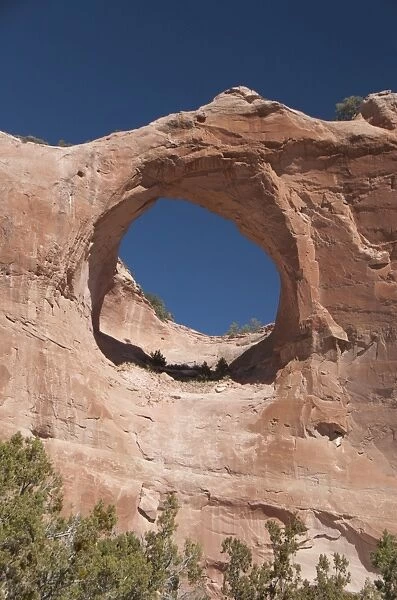 Window Rock Navajo Tribal Park, Arizona, United States of America, North America