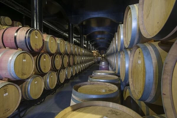Wine ageing in oak barrels in a cellar at a winery in the Alto Douro region of Portugal