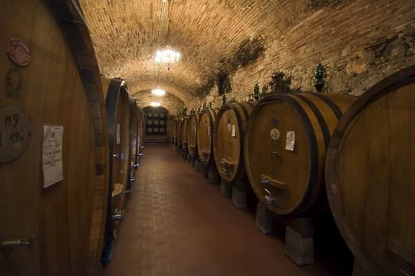 Wine casks in the wine cellars of the Villa Vignamaggio